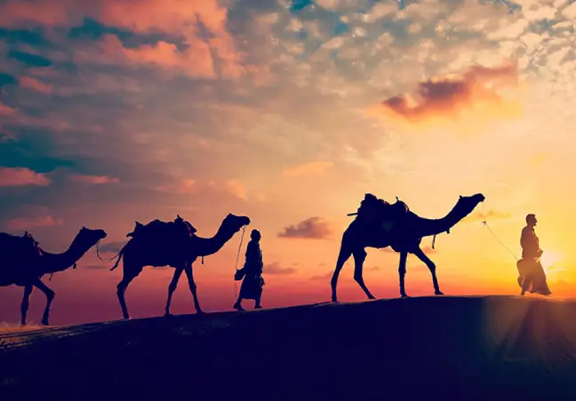 Rajasthan Family Tour Package