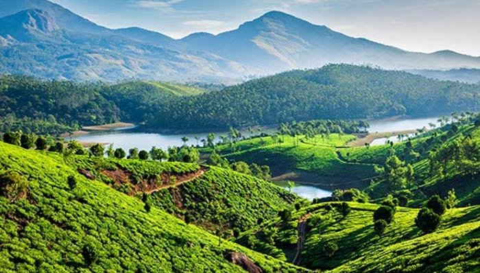Hill Station Tour of South India